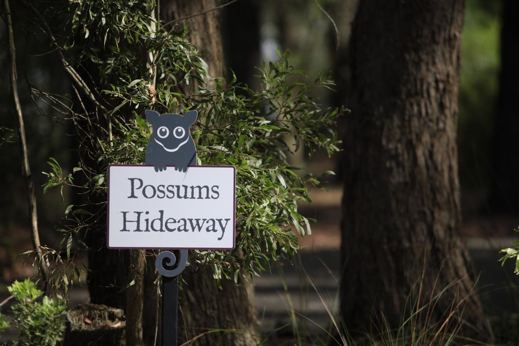 Federation Gardens & Possums Hideaway Villa Blackheath Luaran gambar
